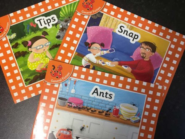 100% decodable phonics books using the first sounds set 1a