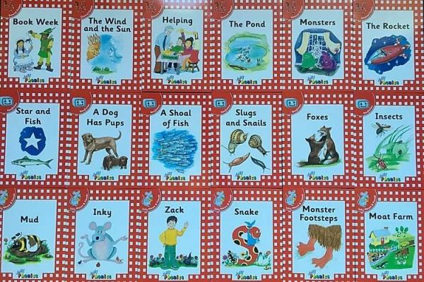 Jolly Phonics level 1 readers (18 books)
