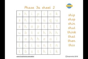 Phases 3a and 3b word searches - Gallary 2