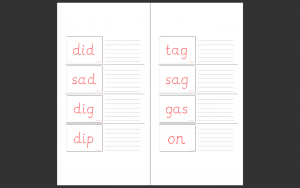 Phonics flash cards