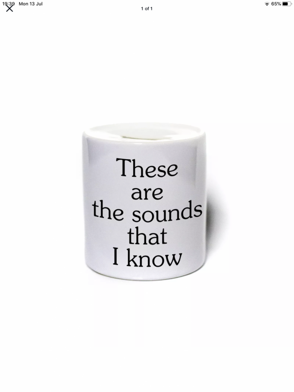 Phonic assessment pot
