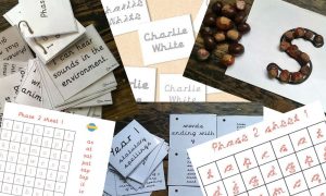 Fun Phonics Membership Digital Resources