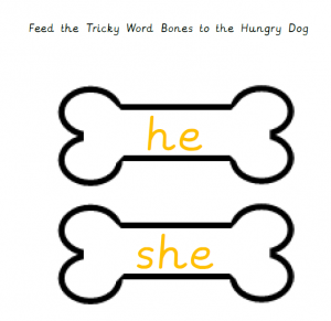 Phonics blending kit game and flash card book