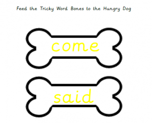 Phonics blending kit game and flash card book